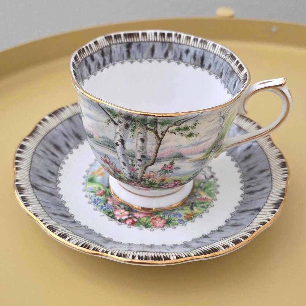 Royal Albert Silver Birch Bone China Tea Cup & Saucer Made in England EXCELLENT